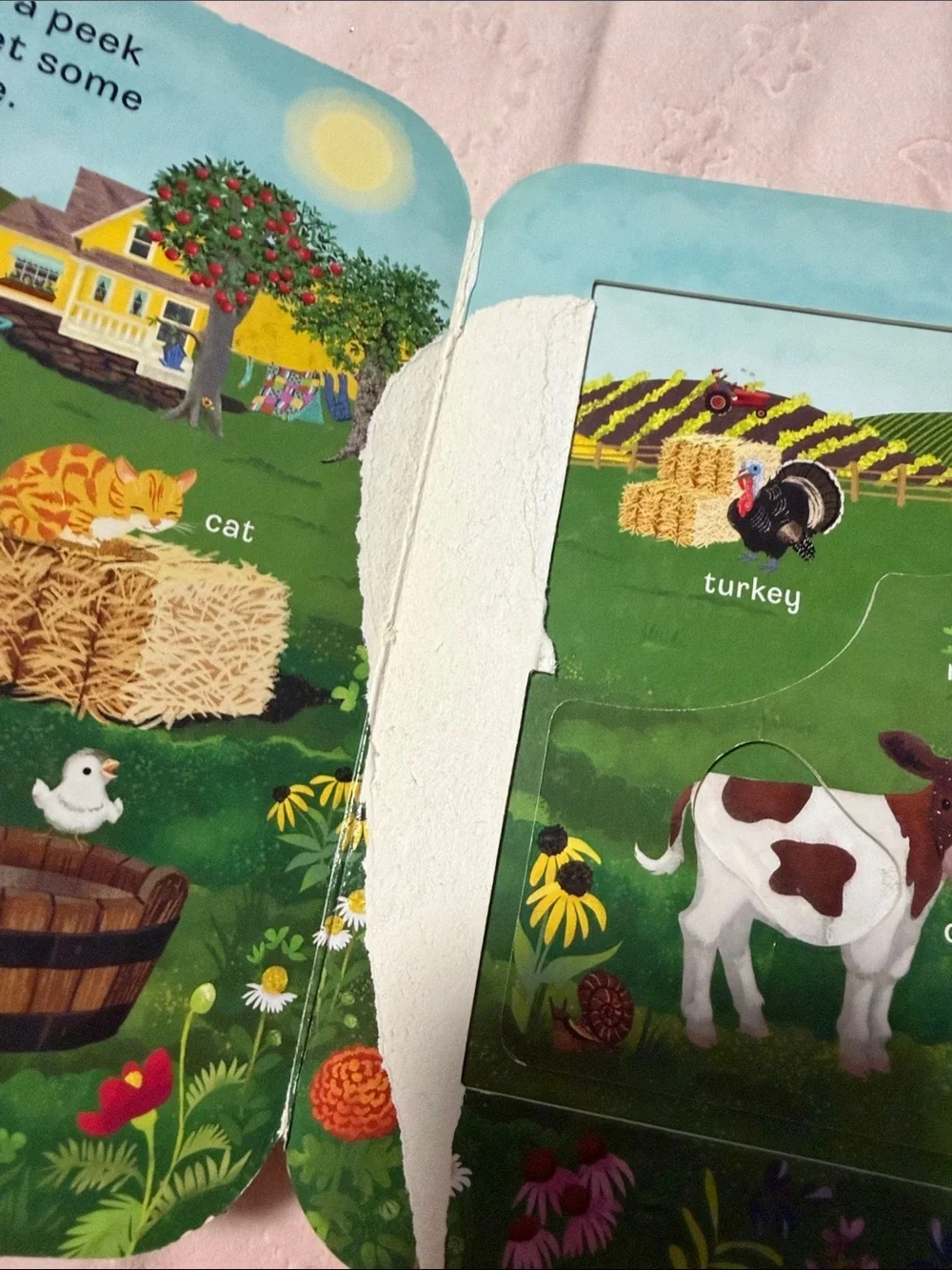 Peek-a-Flap Moo Kids Board Book - Yellow